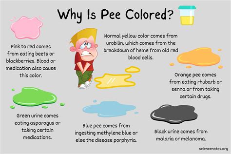 pissing evert 5 min is a small price to pay to pass the test. . How to make your pee yellow after certo